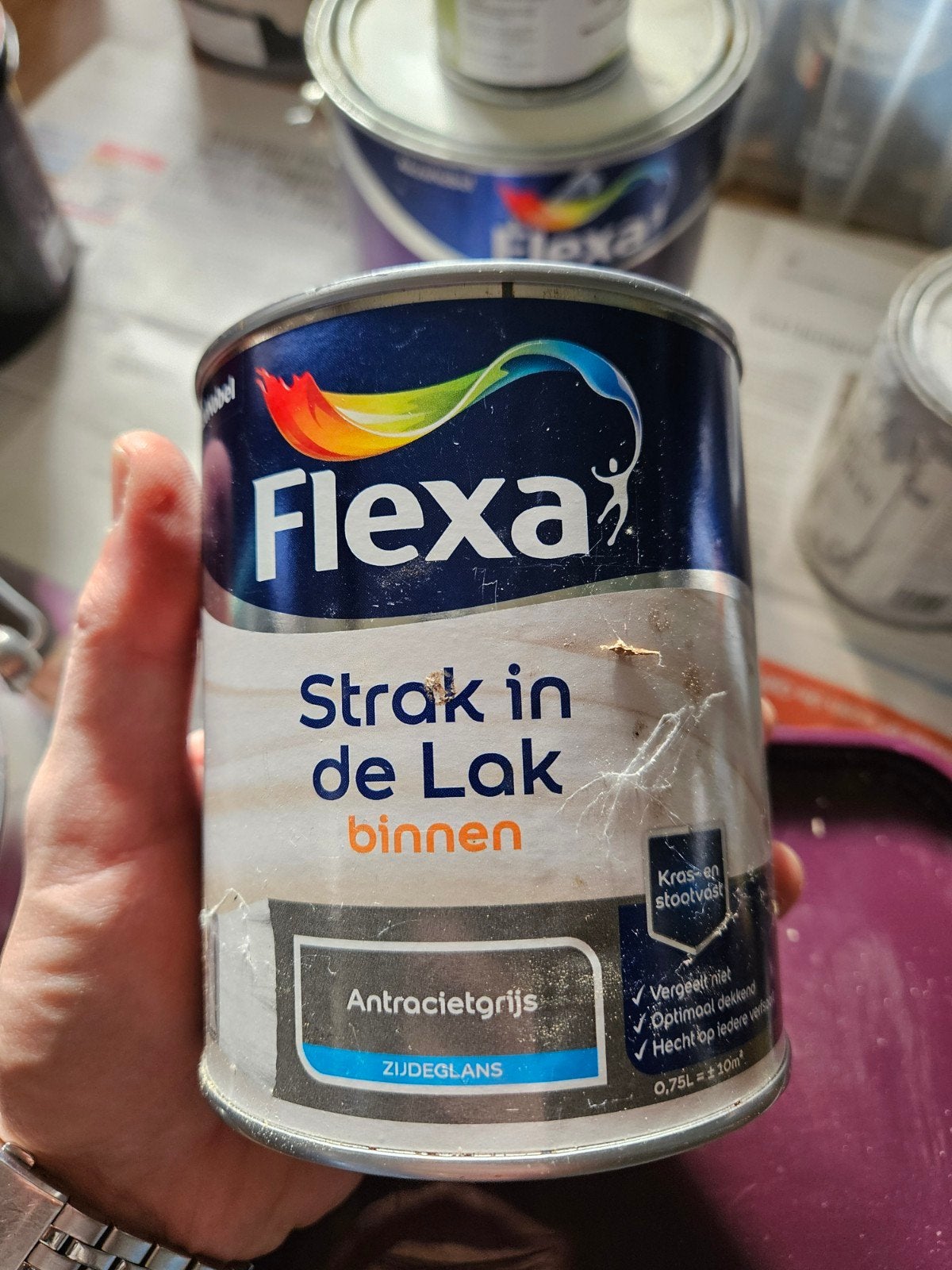 diverse restanten verf en muurverf, Doe-het-zelf en Verbouw, Ophalen, Nieuw