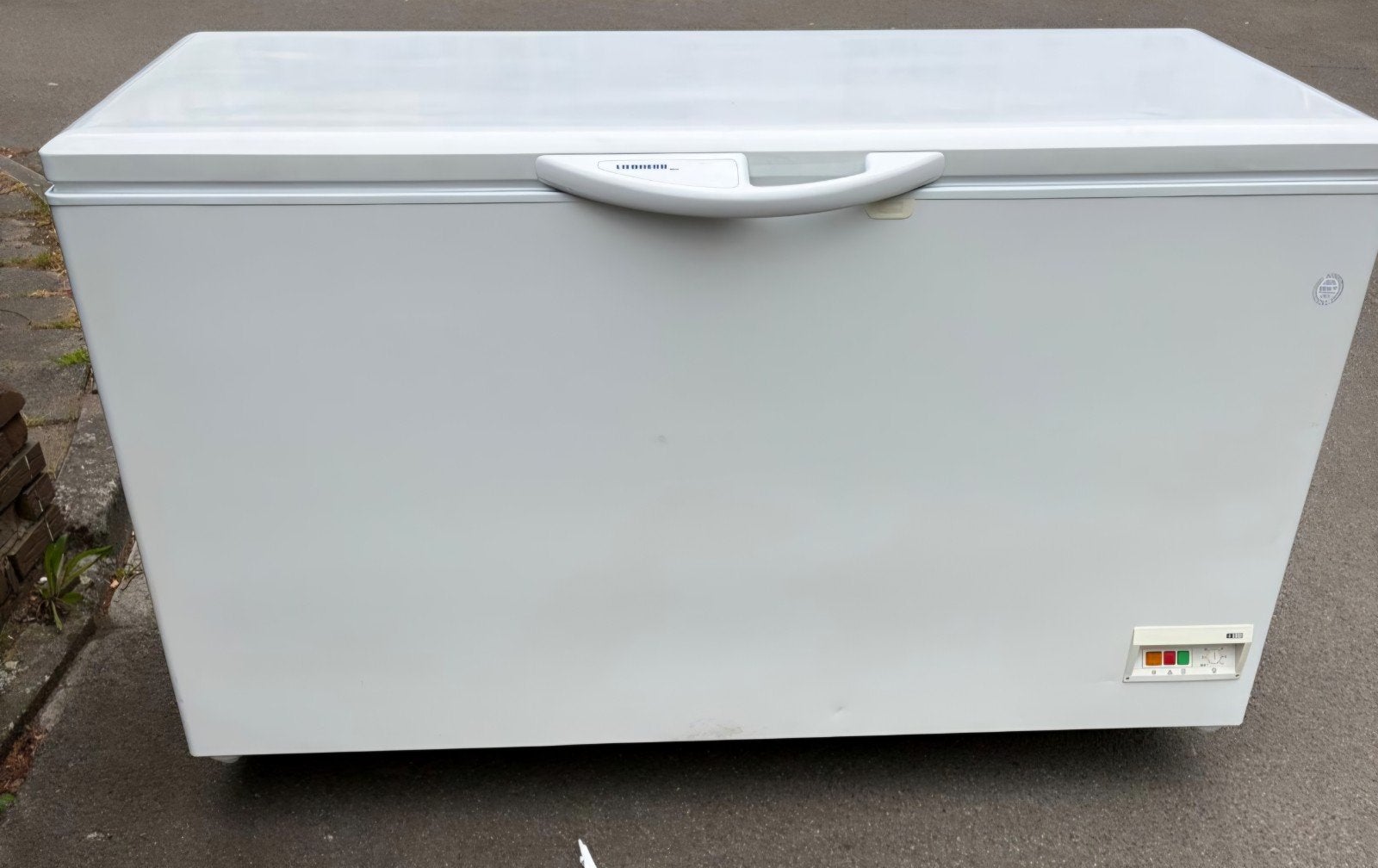 Diepvries kist liebherr 600l liter, Ophalen, Vrieskist, Gebruikt, 160 cm of meer
