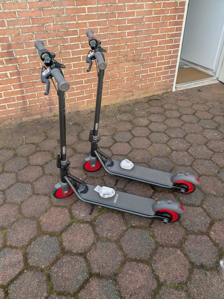 NINEBOT BY SEGWAY eKickScooter ZING C20, Ophalen, Gebruikt, Elektrische step (E-scooter), NINEBOT BY SEGWAY