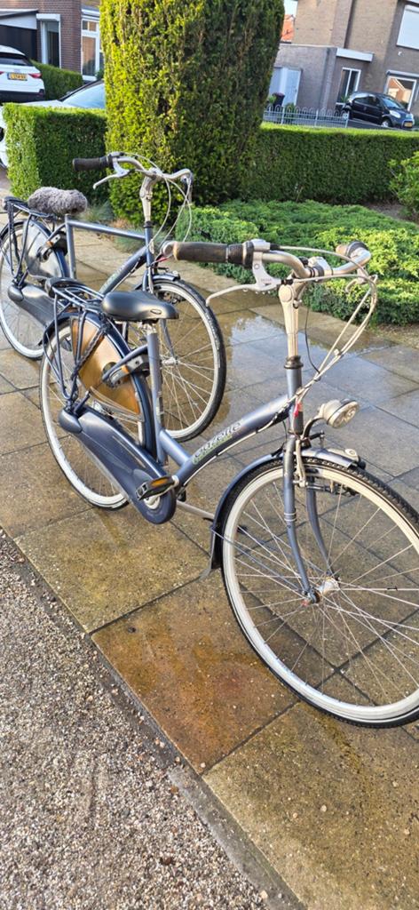 Gazelle Grenoble damesfiets - Comfortabel en compleet, Auto diversen, Ophalen, Gebruikt