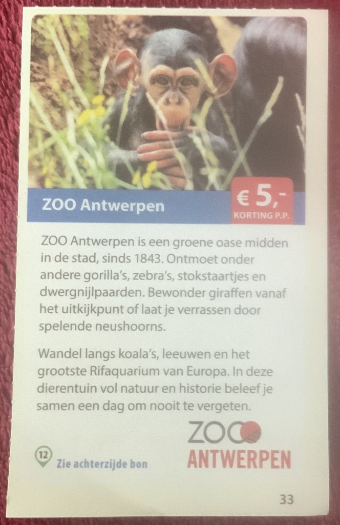 Zoo Antwerpen Dierentuin Voordeelbon, Drie personen of meer, Dierentuinbon