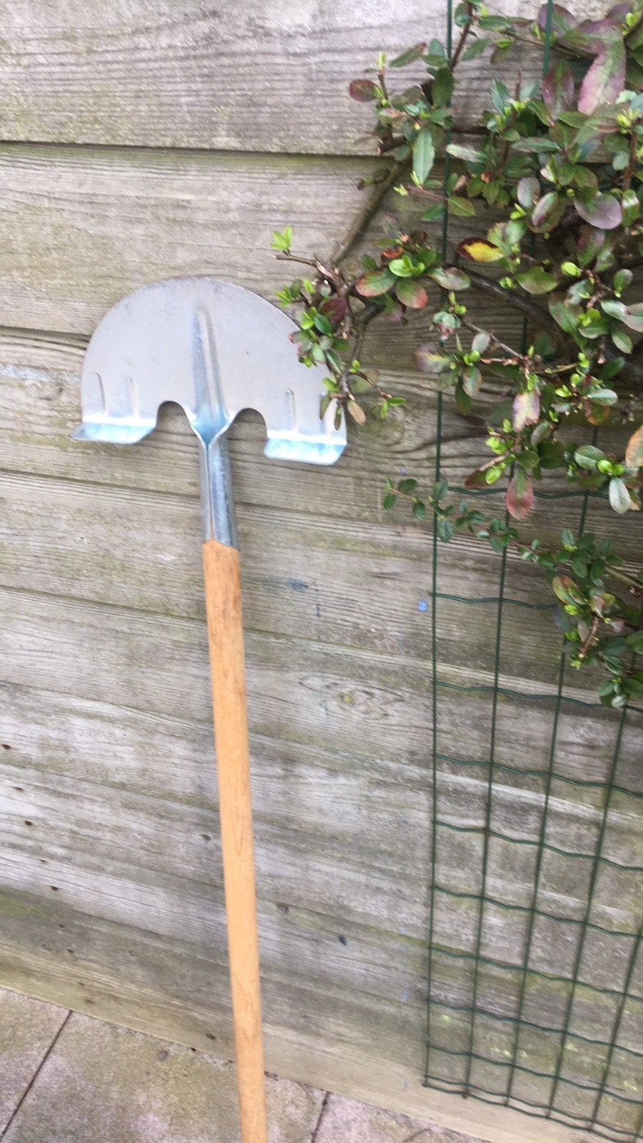 Graskanten steker, Tuin en Terras, Hand-tuingereedschap, Ophalen of Verzenden