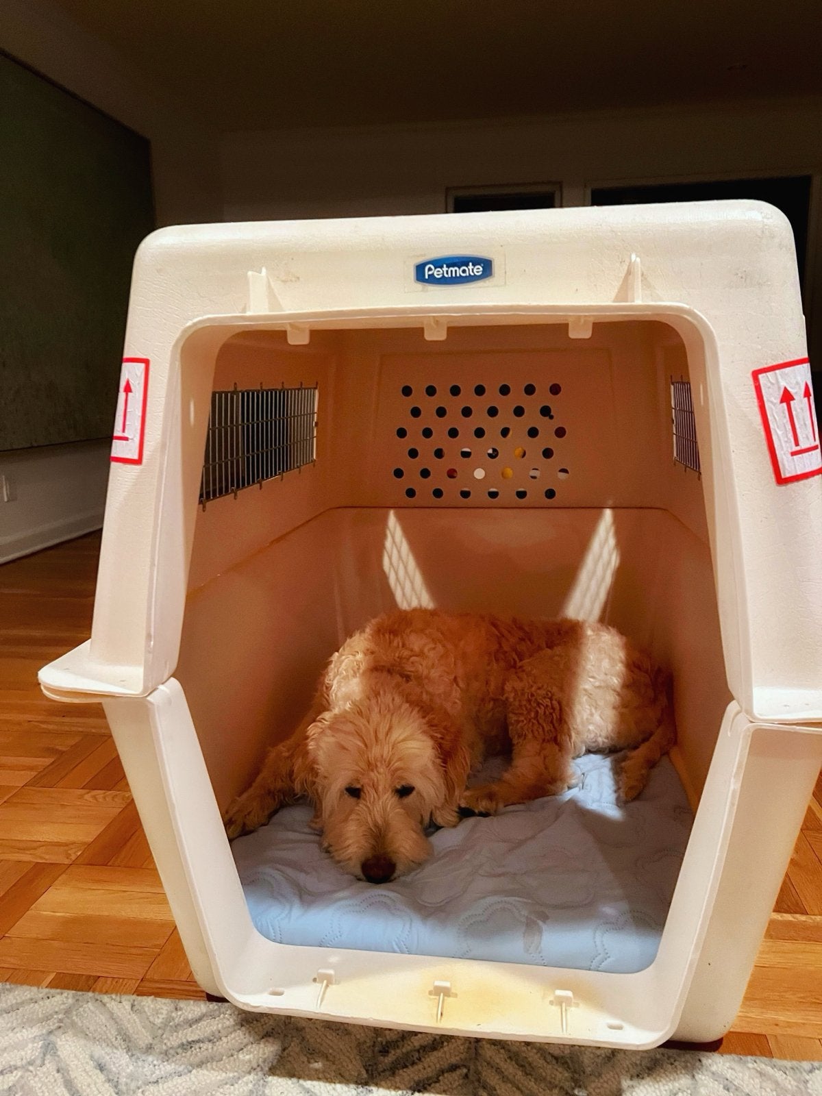 Petmate extra grote reis bench voor vliegreizen, Ophalen, Zo goed als nieuw