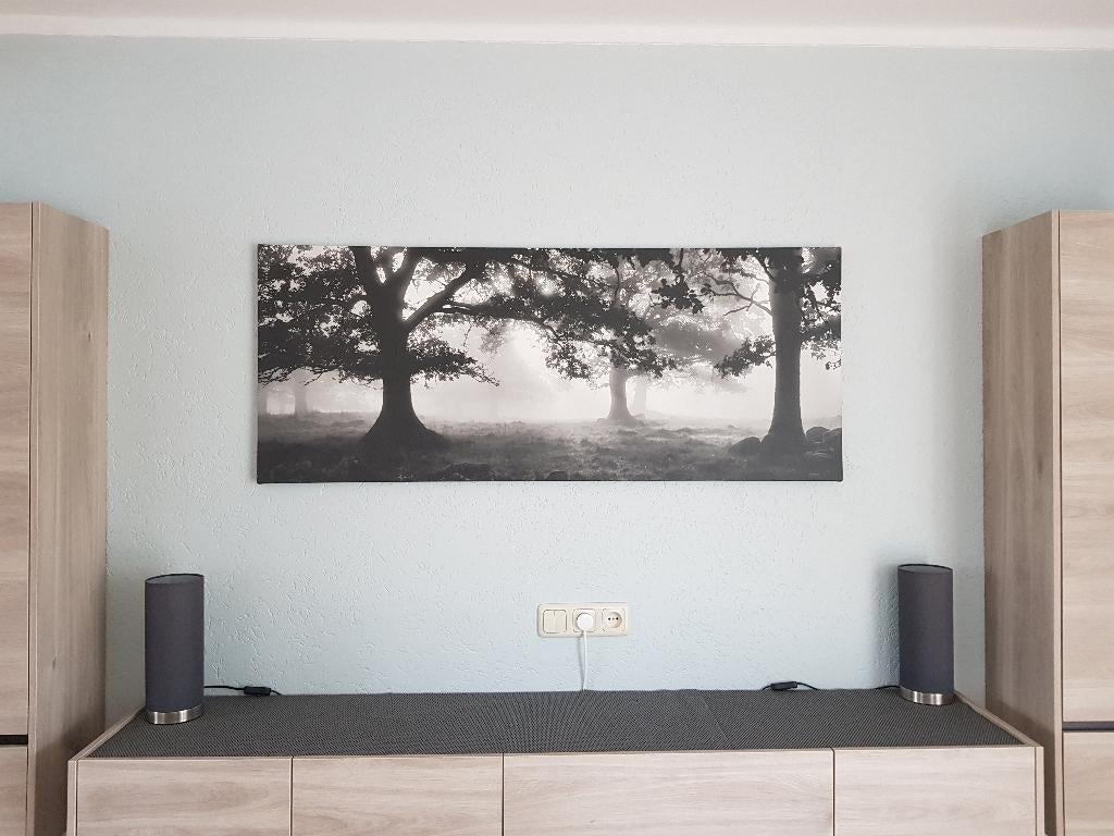 Ikea Canvas Pjatteryd 140x56 cm Bomen zwart/wit, Ophalen, 125 cm of meer, Zo goed als nieuw, Schilderij