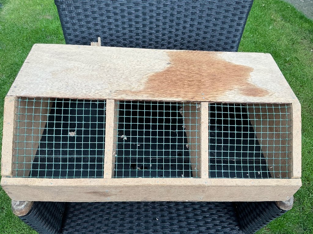 Vervoerkisten lopers vogels, Dieren en Toebehoren, Ophalen of Verzenden, Gebruikt, Overige typen