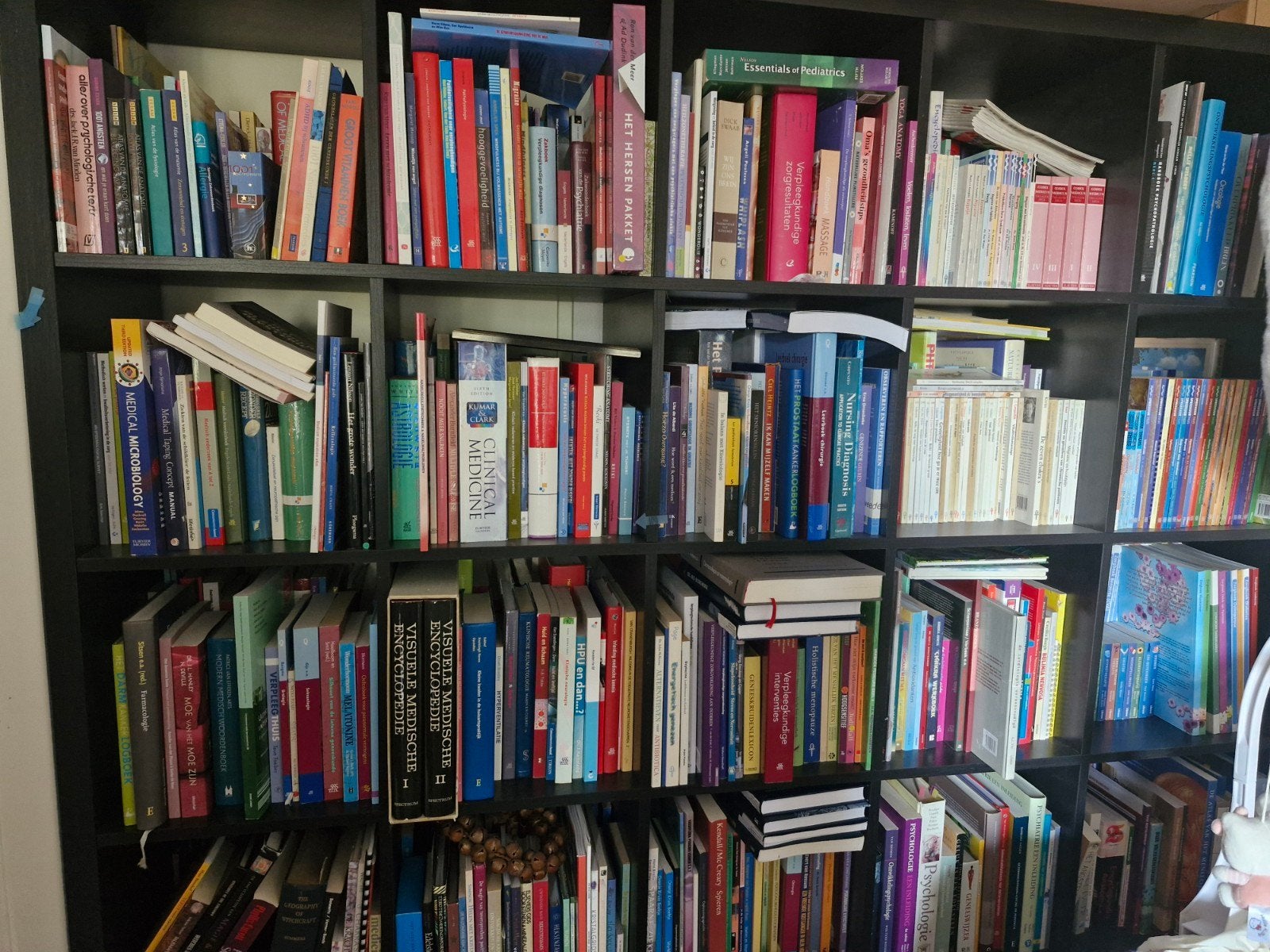 Diverse medische en academische boeken, Boeken, Diverse auteurs, HBO, Beta, Ophalen