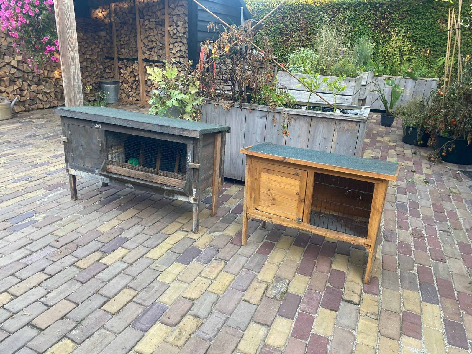 Konijnenhokken, Ophalen, Minder dan 75 cm, Kooi, Minder dan 60 cm