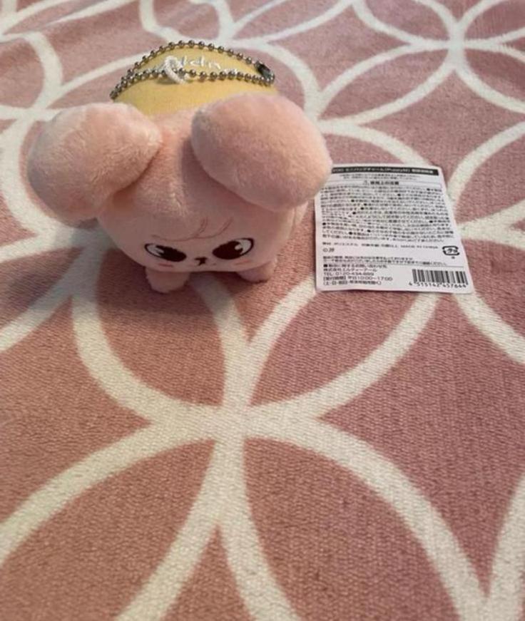 Stray Kids SKZOO PuppyM bag charm plush, Ophalen of Verzenden, Nieuw, Foto of Kaart