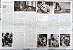 Artis 1914; artikel 2 blz. Artis ontwaakt, Verzenden, Voor 1940, Gebruikt, Dier