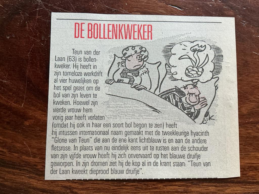 Karikatuur Dik Bruynesteyn De Bollenkweker krantenartikel 86, Ophalen of Verzenden, 1920 tot 1940, Knipsel(s)
