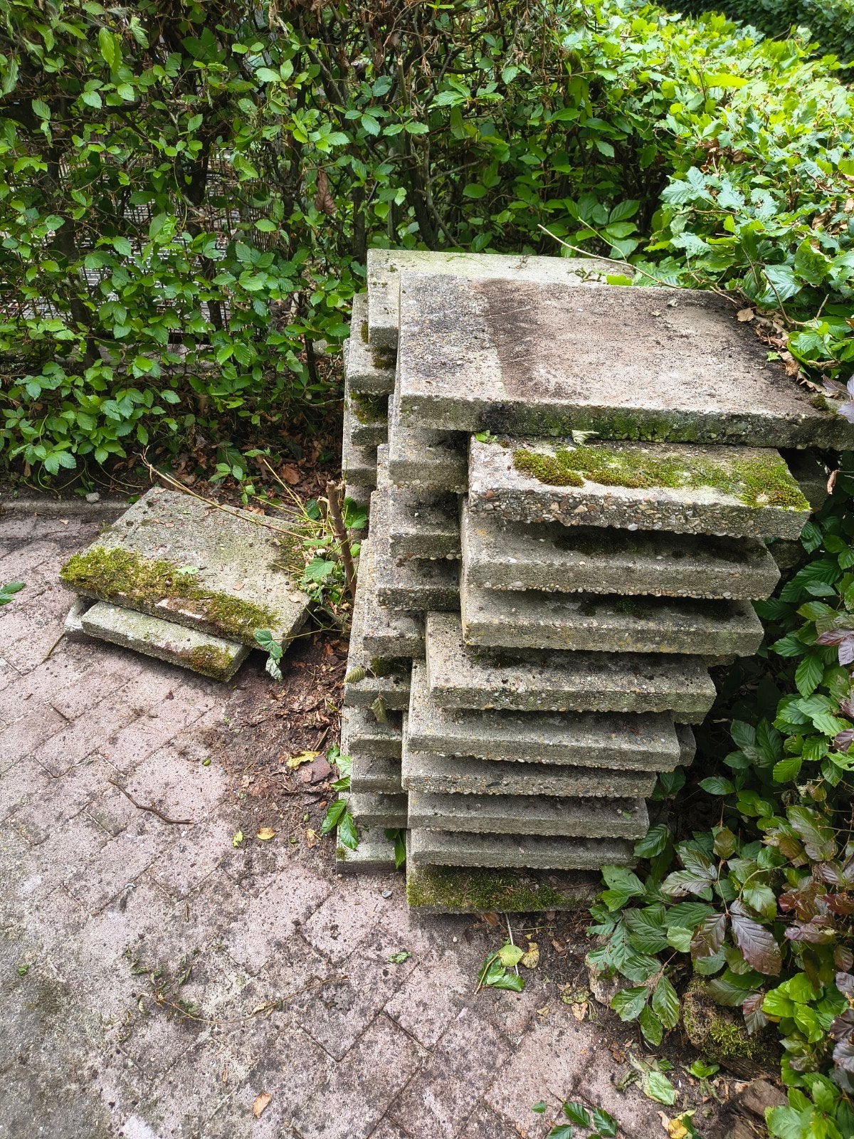 Gratis af te halen grindtegels 60x40, Ophalen of Verzenden, Gebruikt, Beton