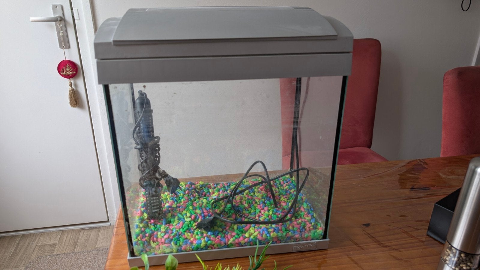 aquarium vissen, Dieren en Toebehoren, Vis