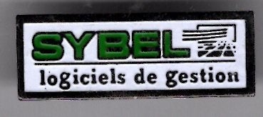 Sybel Logiciels de Gestion zilverkleurig PIN ( BLAD3_367), Verzenden, Zo goed als nieuw, Transport, Speldje of Pin