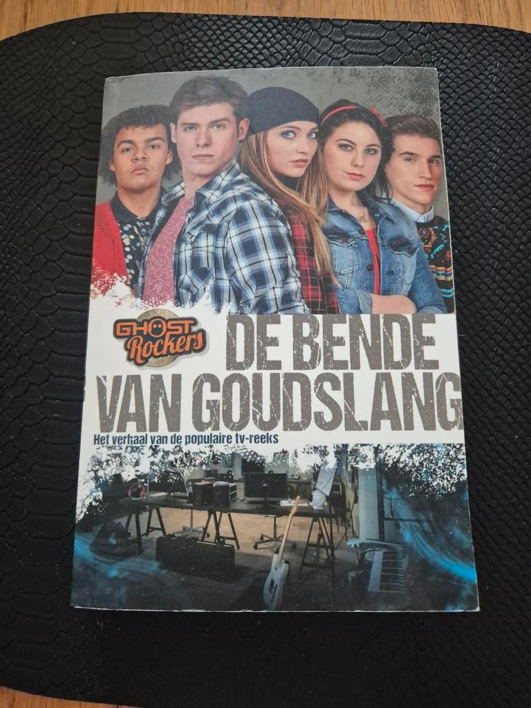 Bjorn Van den Eynde - De bende van goudslang, Fictie algemeen, Ophalen of Verzenden, Zo goed als nieuw, Bjorn Van den Eynde