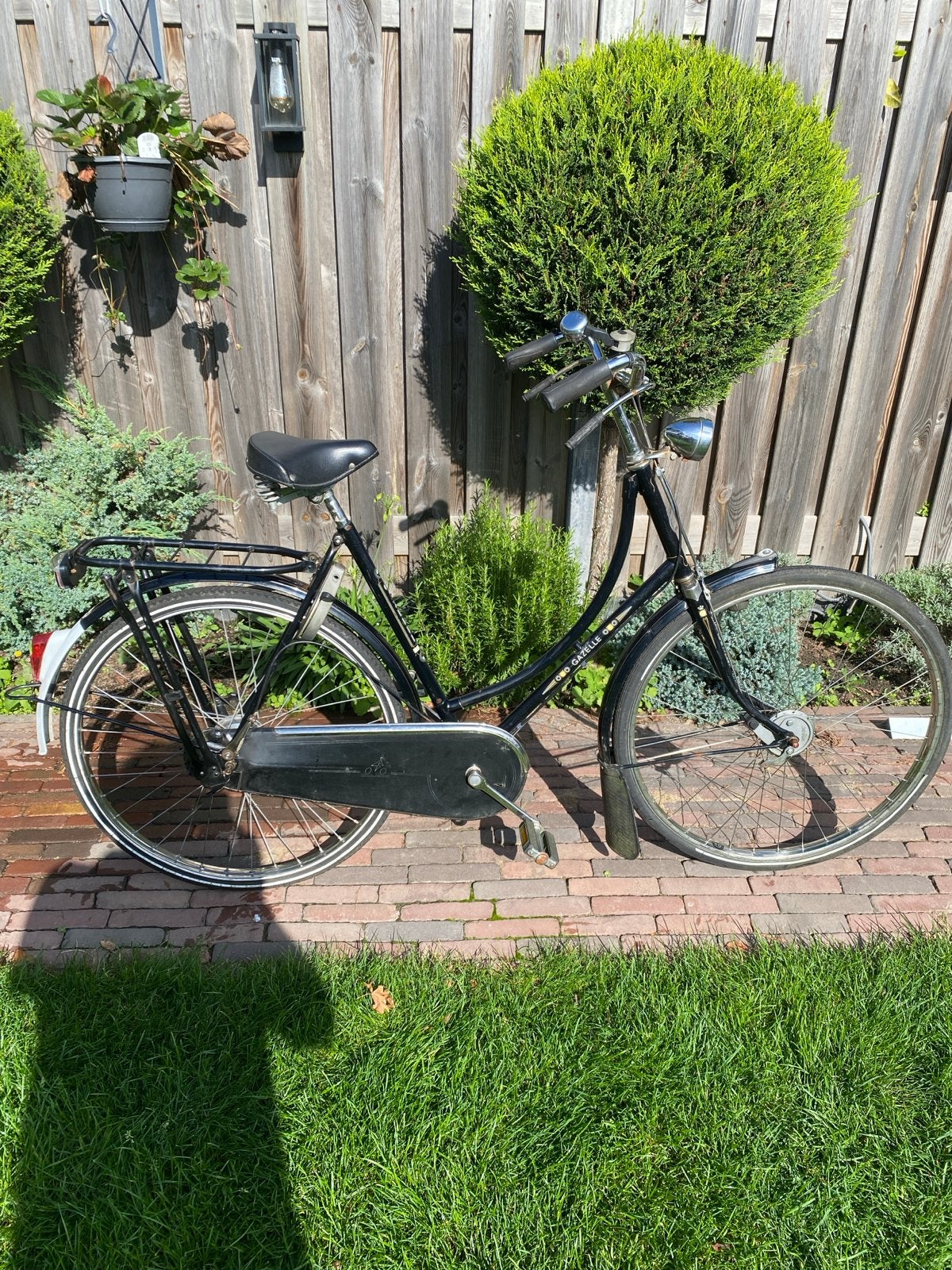 Gazelle Populair Damesfiets 3 versnelling, Ophalen, Terugtraprem, Gazelle, 53 tot 56 cm