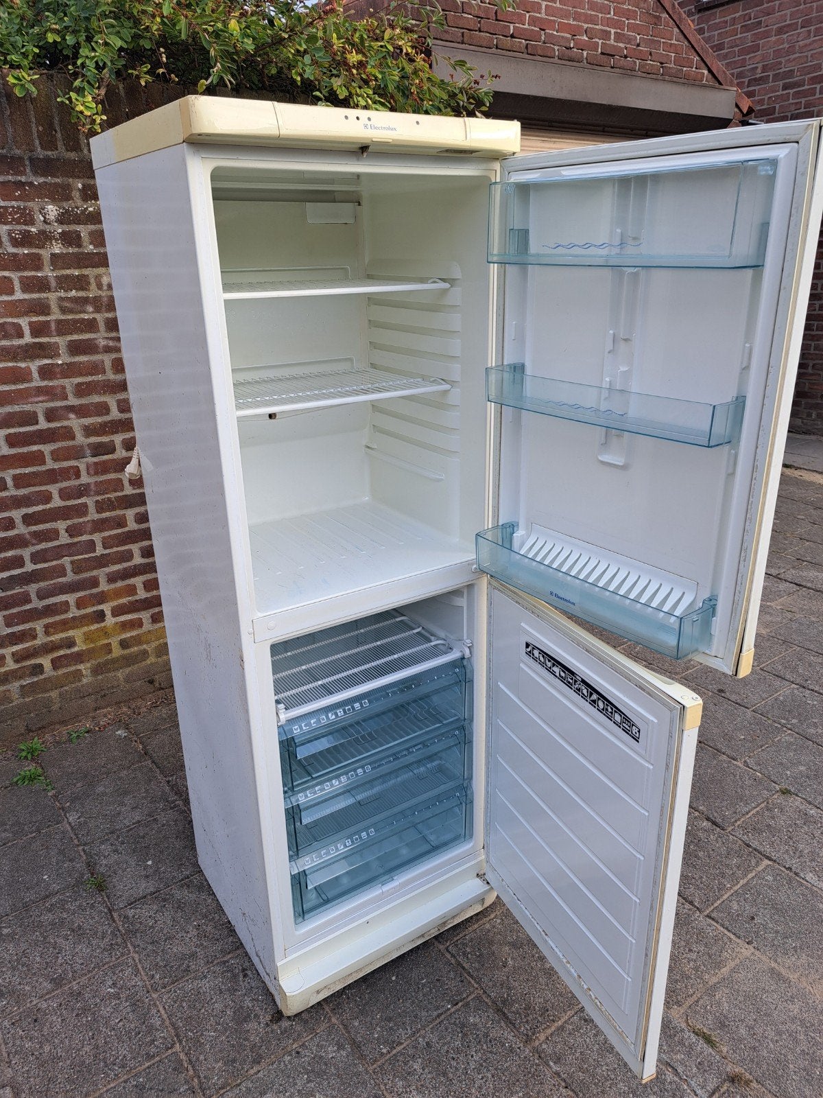 Electrolux Koelkast met aparte vriezer, Kleding | Dames, Ophalen of Verzenden