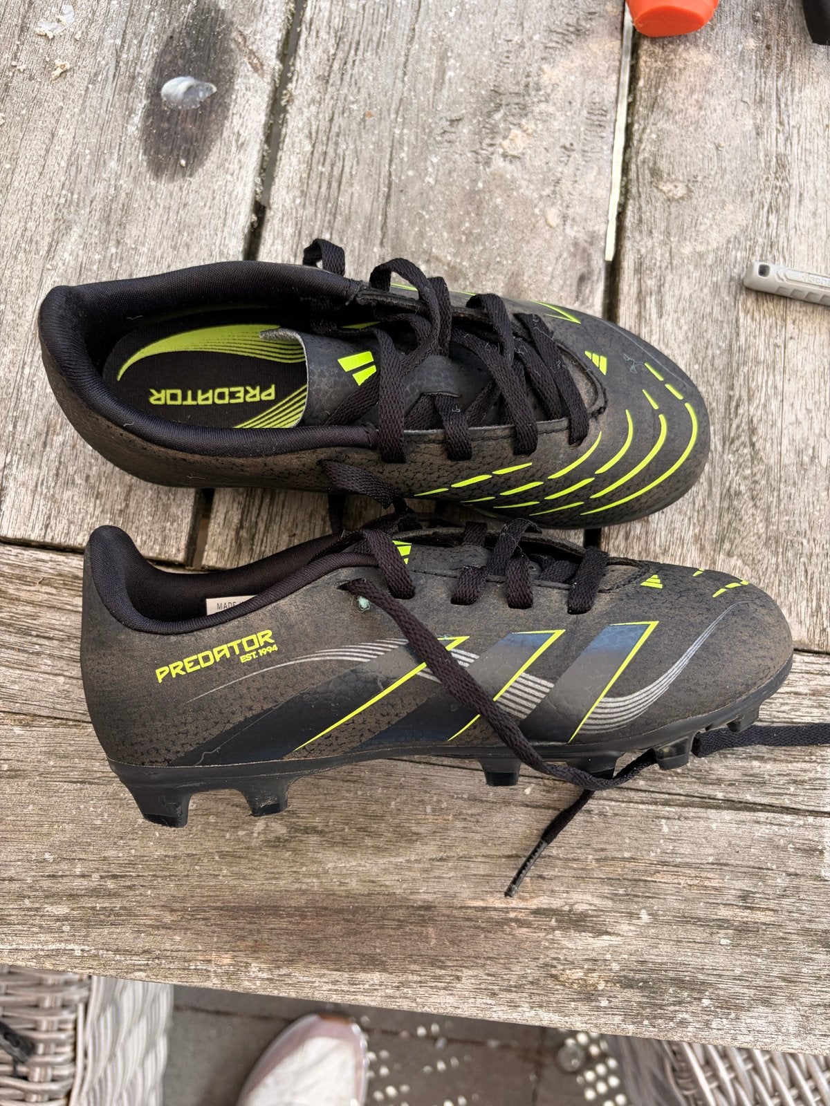 Adidas Predator voetbalschoenen - Gebruikt maar goede staat, Sport en Fitness, Ophalen of Verzenden, Gebruikt, Schoenen