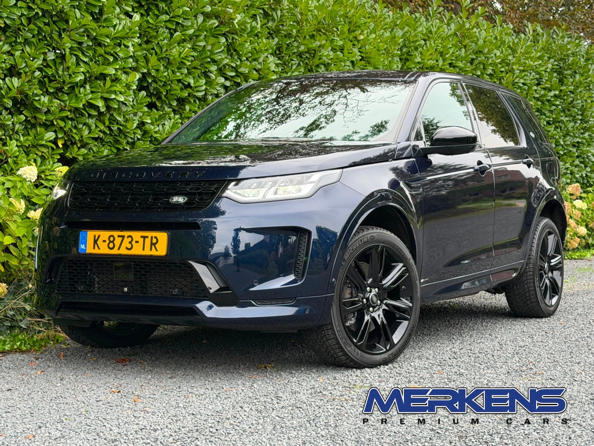 Land Rover Discovery Sport P300e 1.5 R-Dynamic PIVI NAP org, Blauw, Discovery Sport, Bedrijf, Vierwielaandrijving