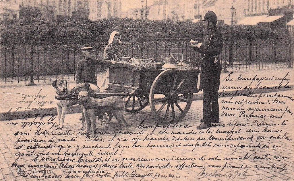 Hondenkar België - vrouw kind agent en 2 honden 1921, Ophalen of Verzenden, 1920 tot 1940, Gelopen, Overige thema's