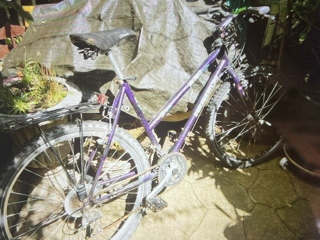 Paarse Mountainbike/crossfiets merk DBV Force Cycles, Fietsen en Brommers, Geen vering, Ophalen, Gebruikt, Overige merken