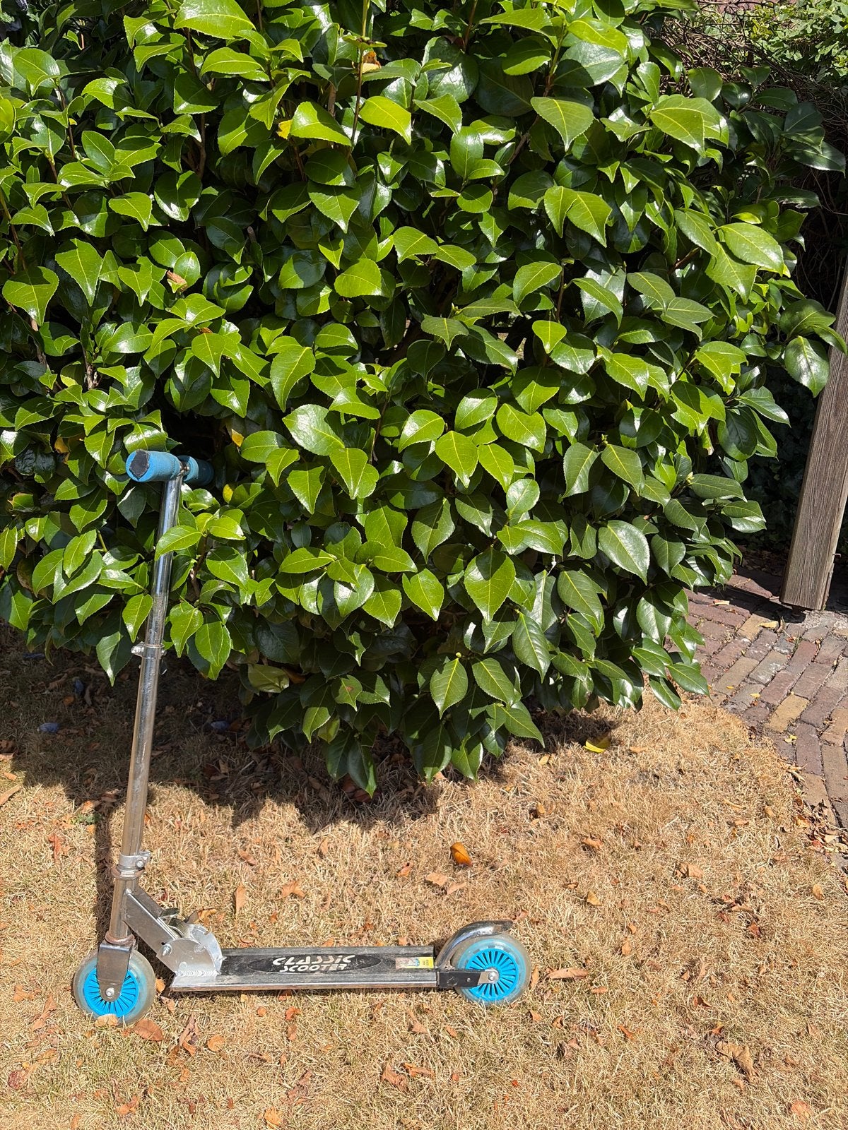 Inklapbare step - Classic Scooter, Ophalen, Gebruikt, Gewone step