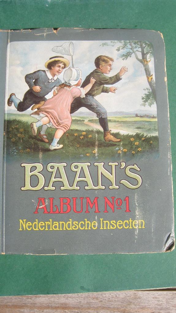 Baan’s Album  1 Nederlandsche insecten, Ophalen of Verzenden, Gelezen, Plaatjesalbum
