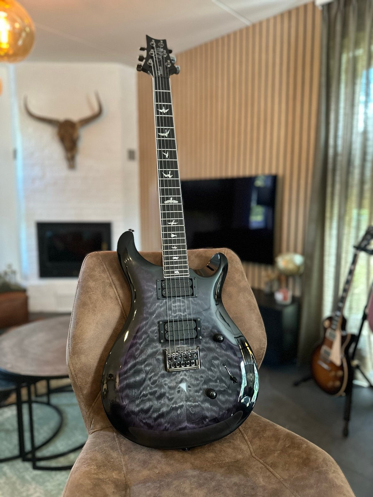 PRS SE Mark Holcomb Signature, Muziek en Instrumenten, Snaarinstrumenten | Gitaren | Elektrisch, Ophalen of Verzenden, Zo goed als nieuw