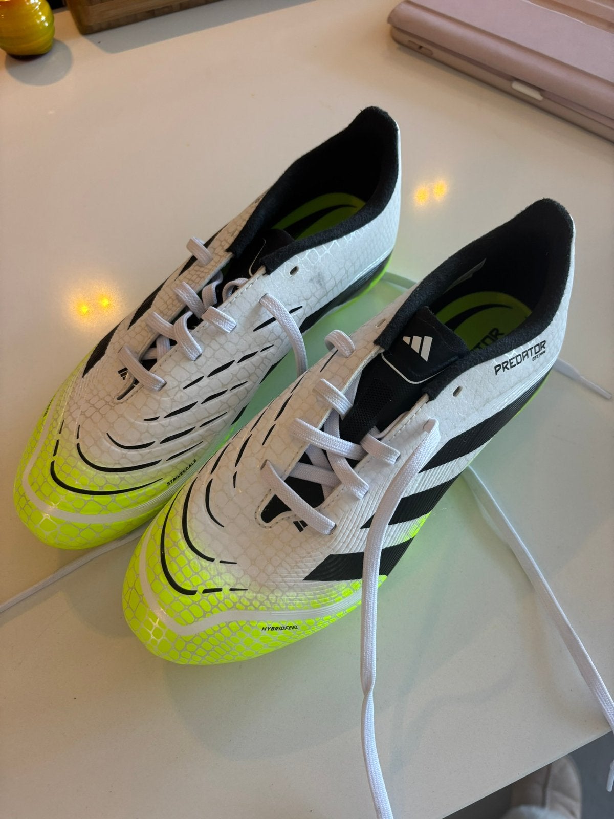 Adidas preditor stalen noppen nieuw!!, Sport en Fitness, Ophalen of Verzenden, Nieuw, Overige typen, Adidas