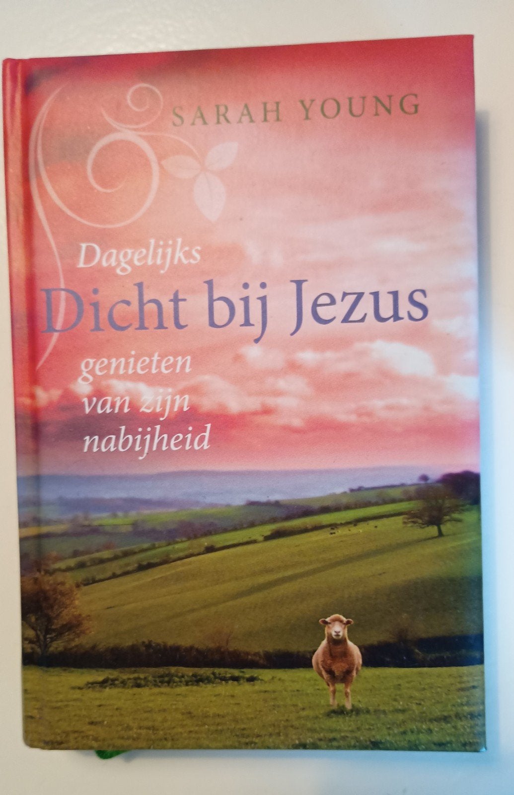 Sarah Young - Dicht bij Jezus, Ophalen of Verzenden, Nieuw, Sarah Young