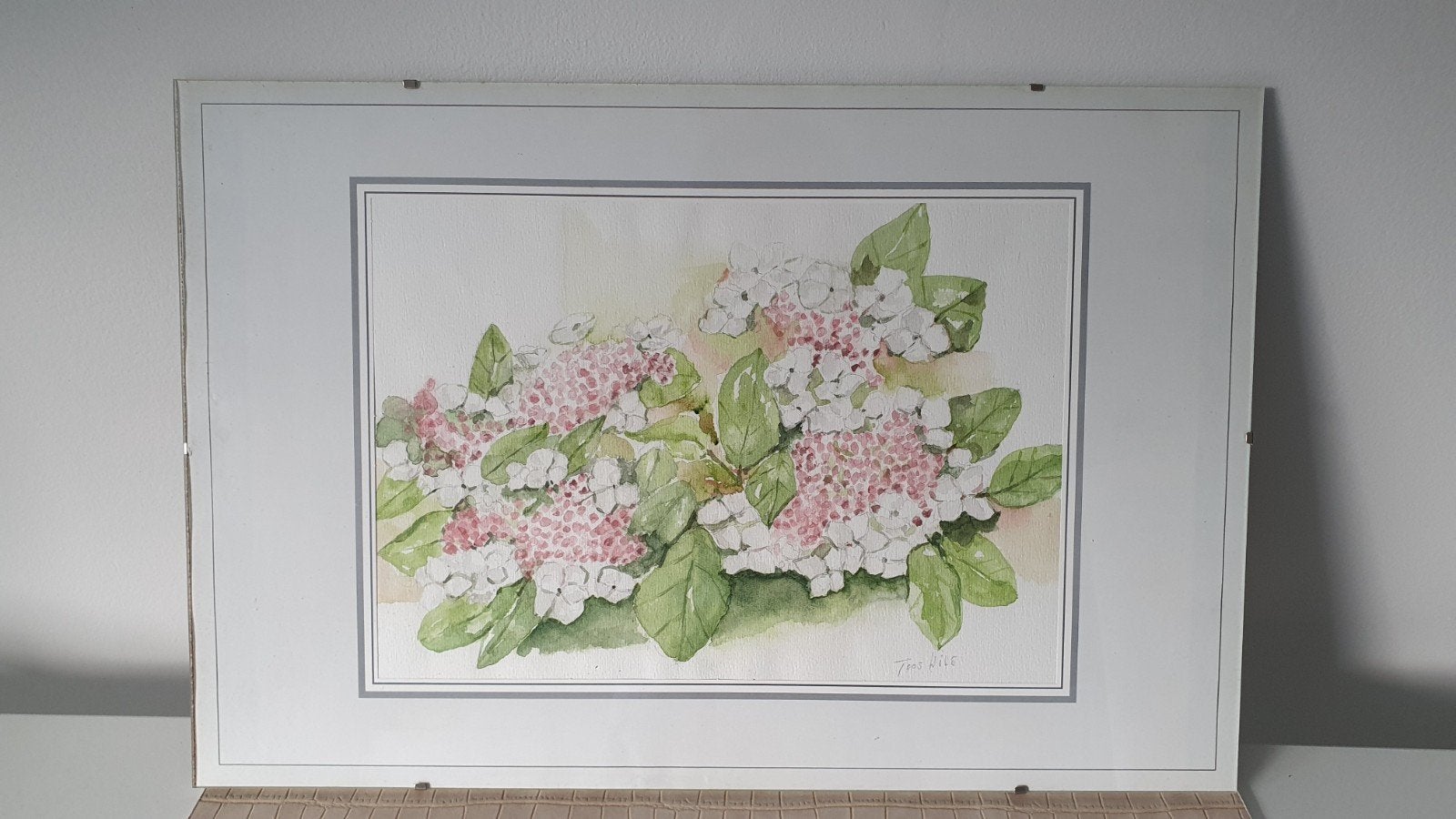 Aquarel hortensia bloemen van Toos Wils, Ophalen of Verzenden