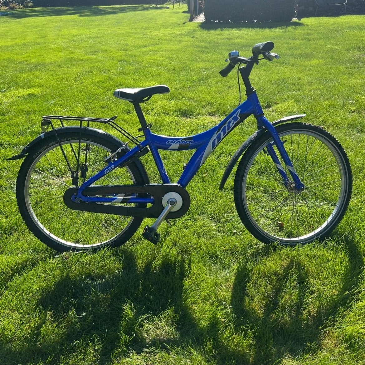 Giant kinderfiets 24 inch - schoon en nagekeken, Ophalen, Gebruikt, Terugtraprem, 20 inch of meer