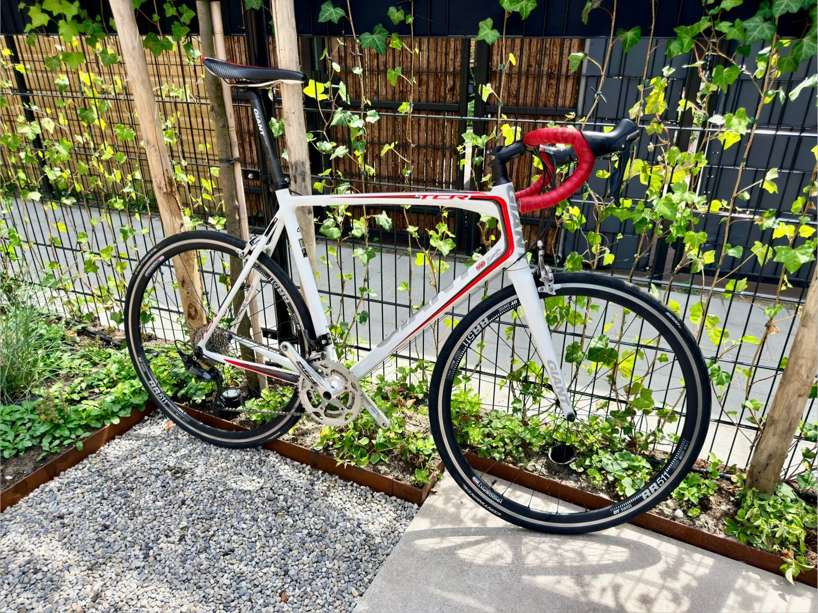 Giant TCR 0 2014 XL, Ophalen, 28 inch, Gebruikt, Velgrem