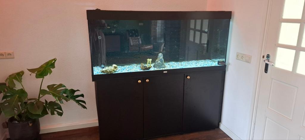 Juwel aquarium 450 liter met toebehoren, Dieren en Toebehoren, Vissen | Aquaria en Toebehoren, Ophalen, Gebruikt, Inclusief toebehoren