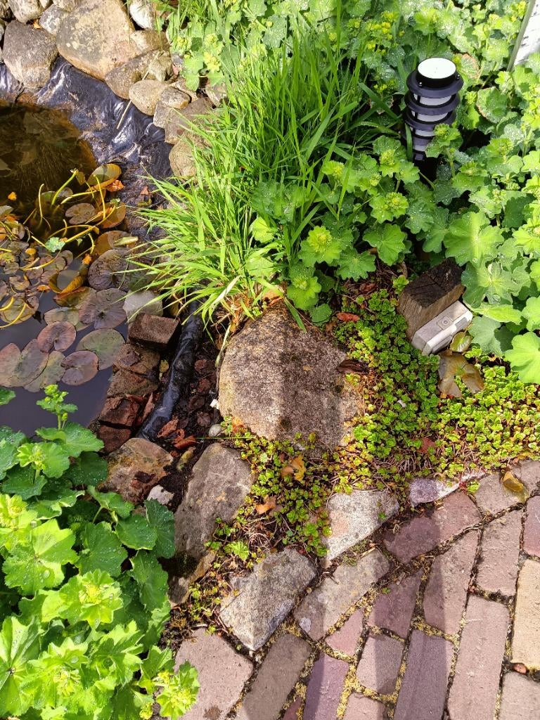 Stenen, Tuin en Terras, Tegels en Klinkers, Ophalen, Gebruikt, Beton, Overige typen
