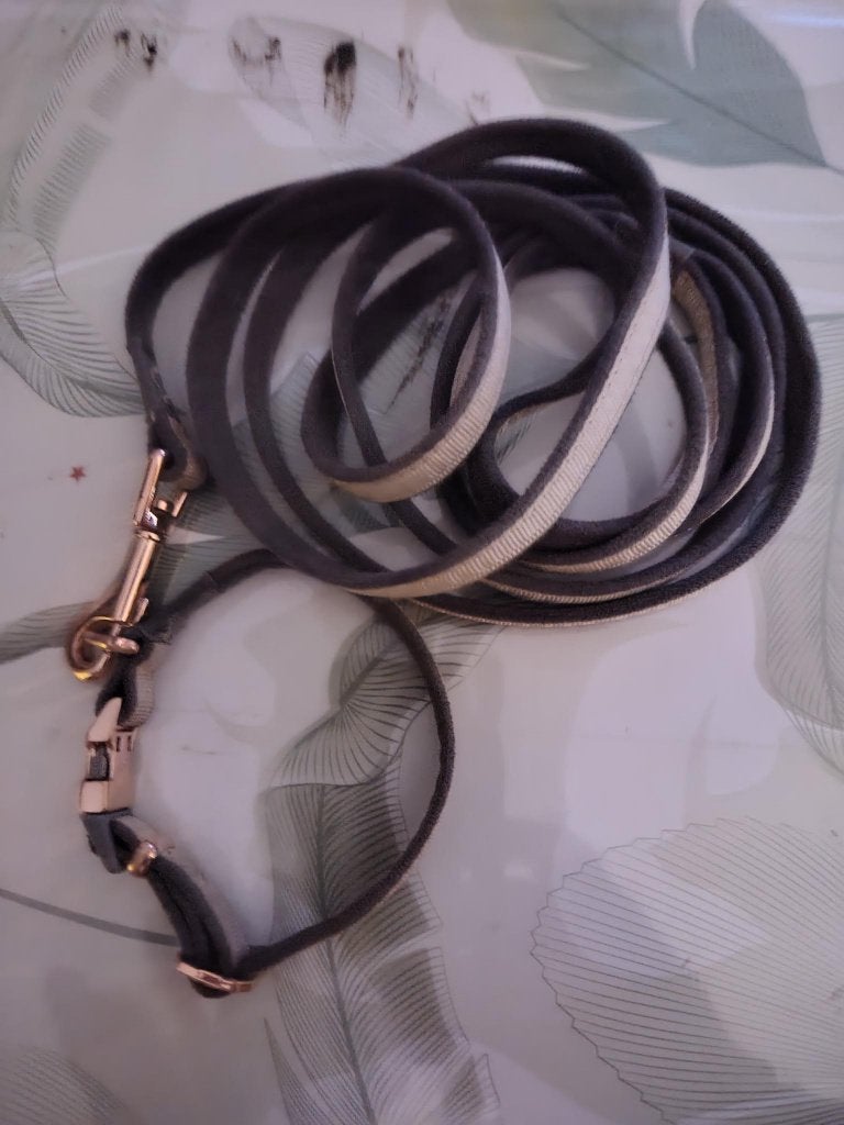 puppy halsband met riem; Rogz Beltz Urban  instaptuig, Ophalen of Verzenden, Zo goed als nieuw, Hondenriem
