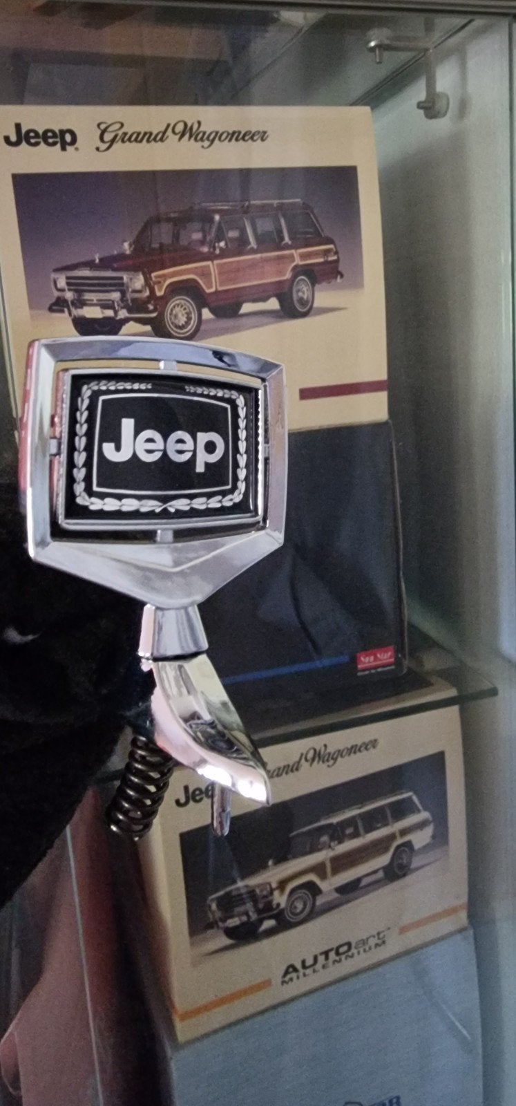 Zeldzaam Jeep Grand Wagoneer motorkap embleem - Nieuwstaat, Ophalen of Verzenden, Nieuw