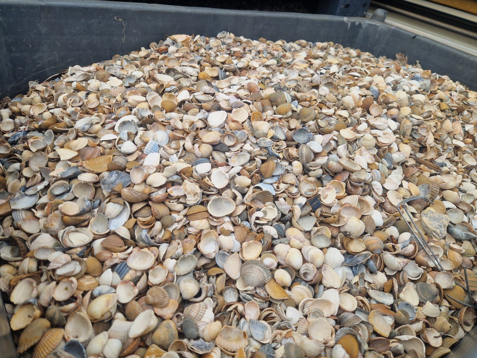 Schelpen voor pad if isolarie, Tuin en Terras, Ophalen of Verzenden, Split