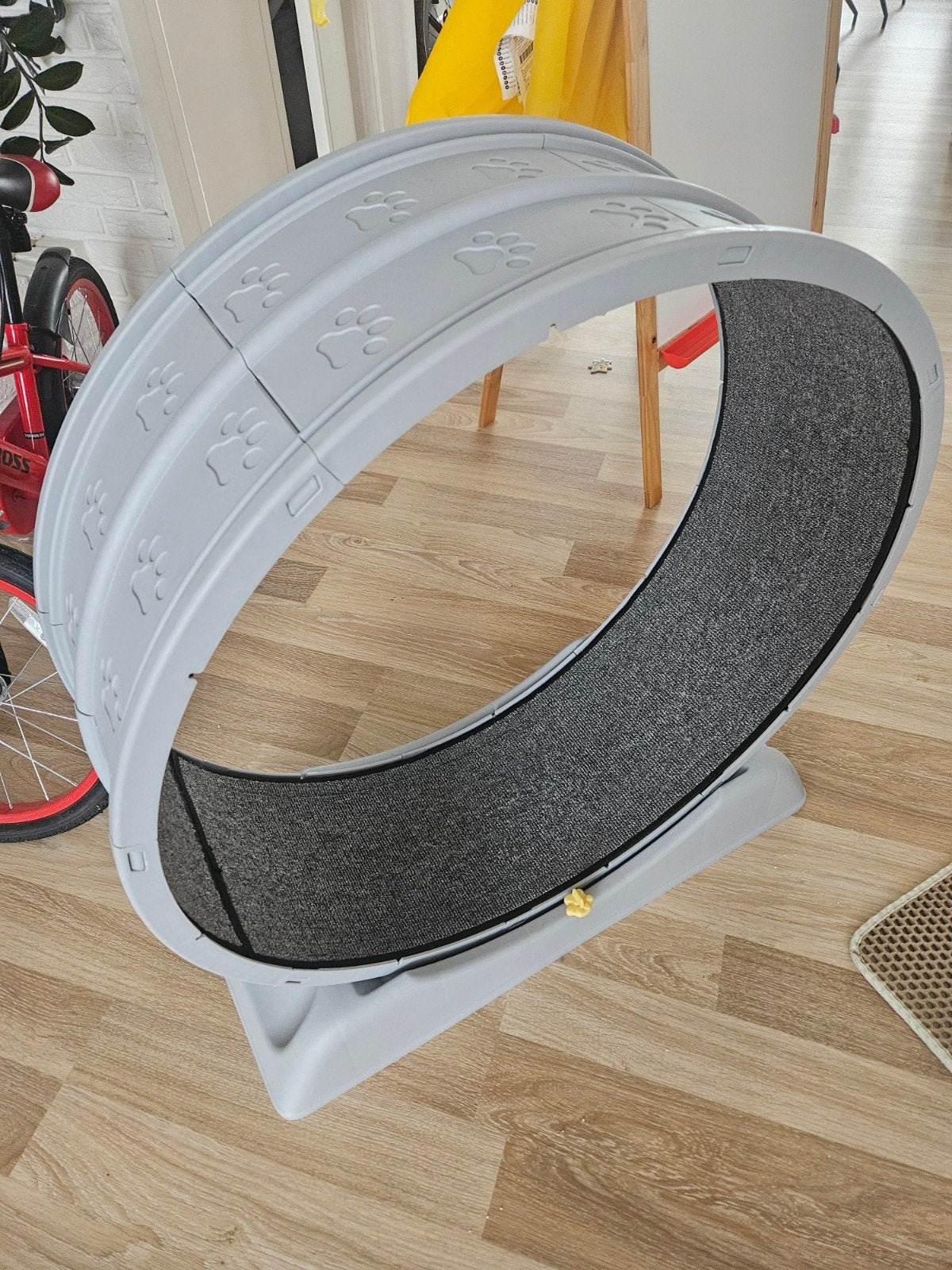 Wheel for cat, Dieren en Toebehoren, Ophalen, Gebruikt