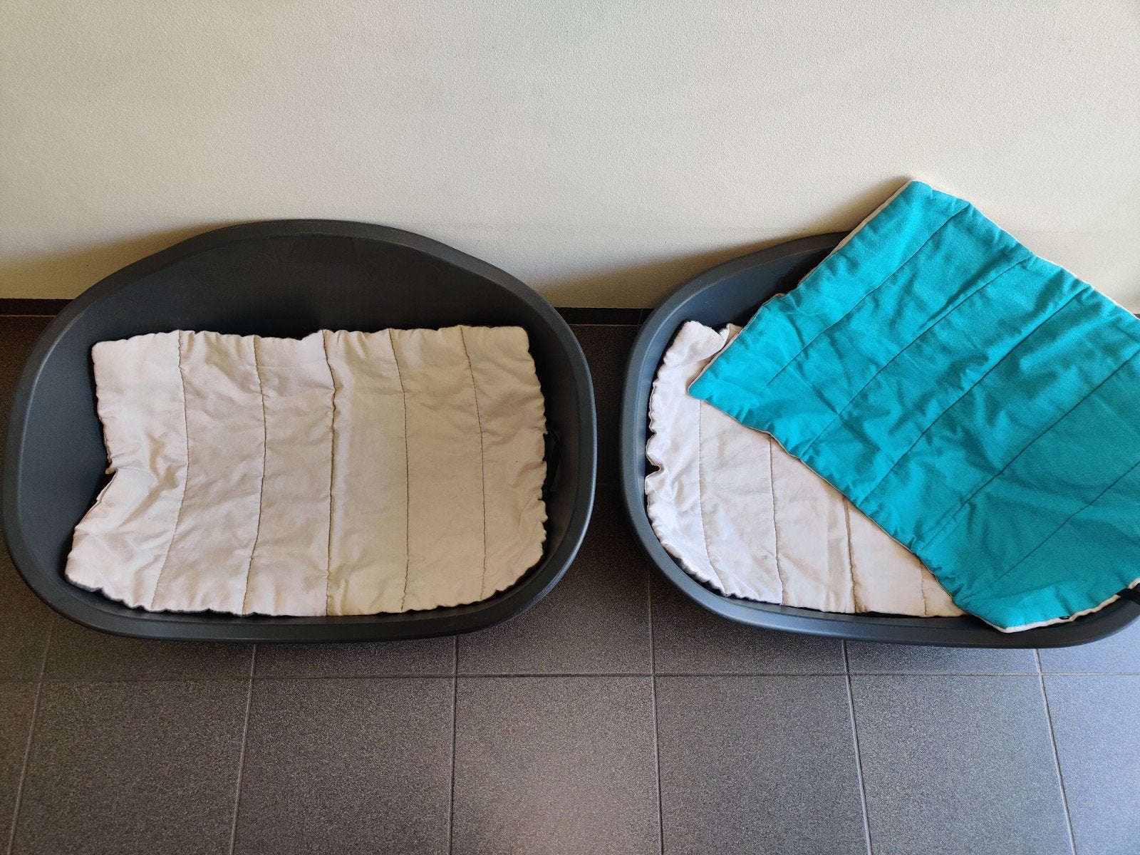 Hondenkleed 3 stuks, Ophalen, Gebruikt