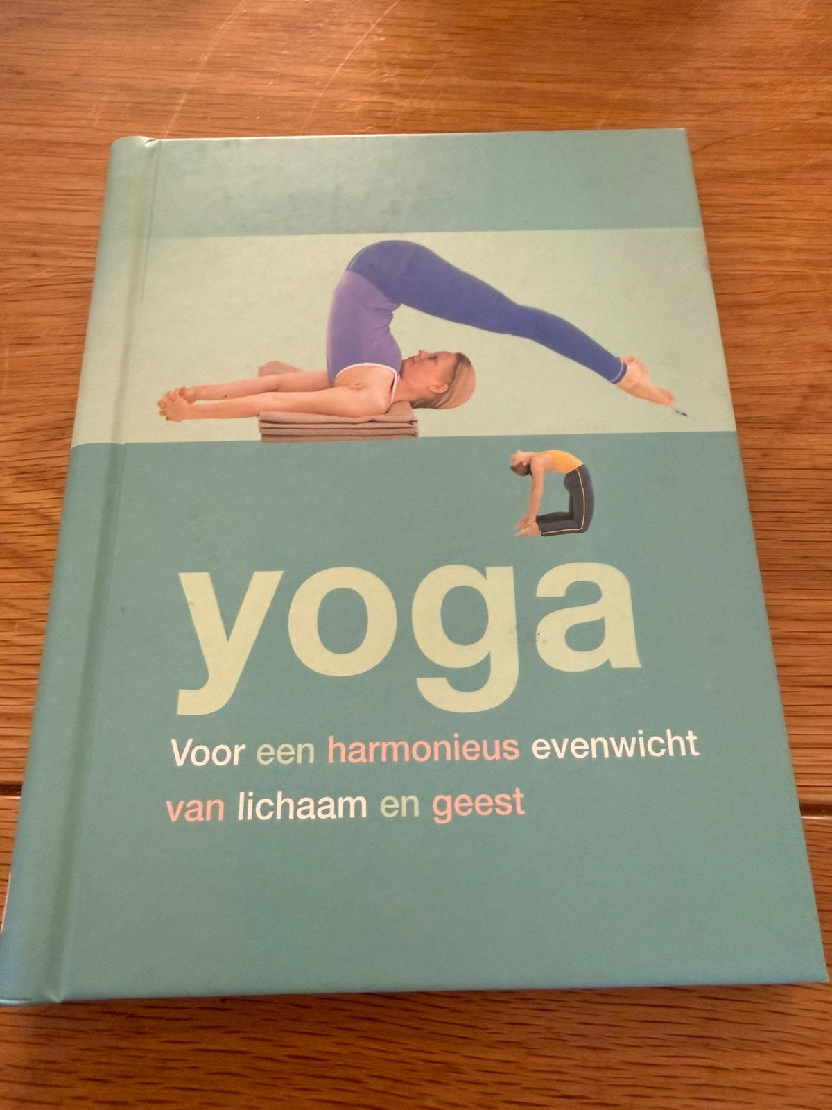 Yoga, Boeken, Ophalen of Verzenden, Zo goed als nieuw, Architecten