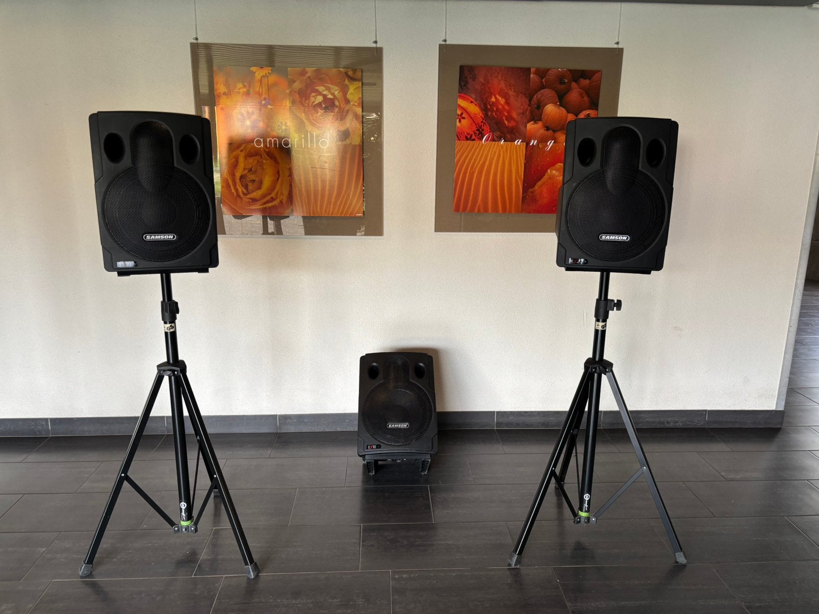 The Samson Expedition system, Ophalen, Gebruikt, Minder dan 500 watt, P.A.