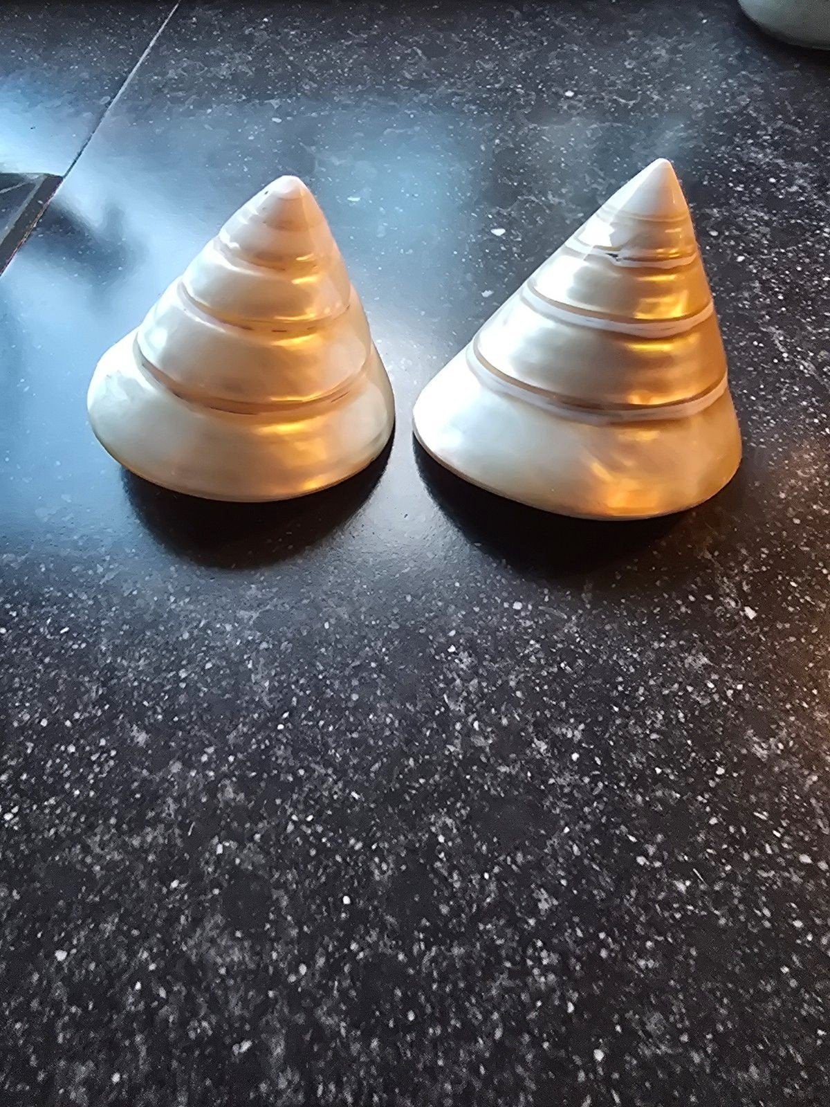 Mooie grote parelmoer Troches schelpen, Ophalen of Verzenden