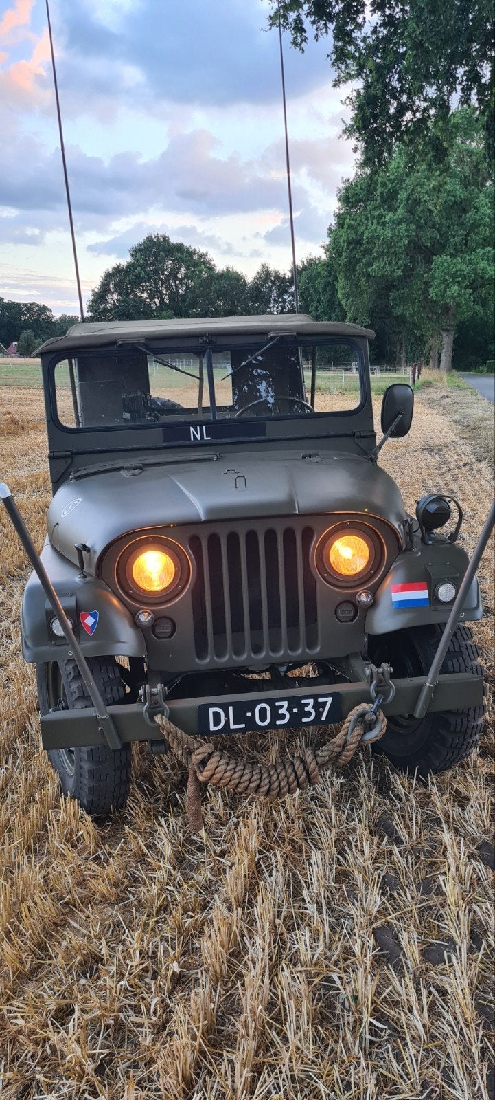 Jeep Willys 1956 Groen, Bedrijf, Groen, Te koop, Benzine
