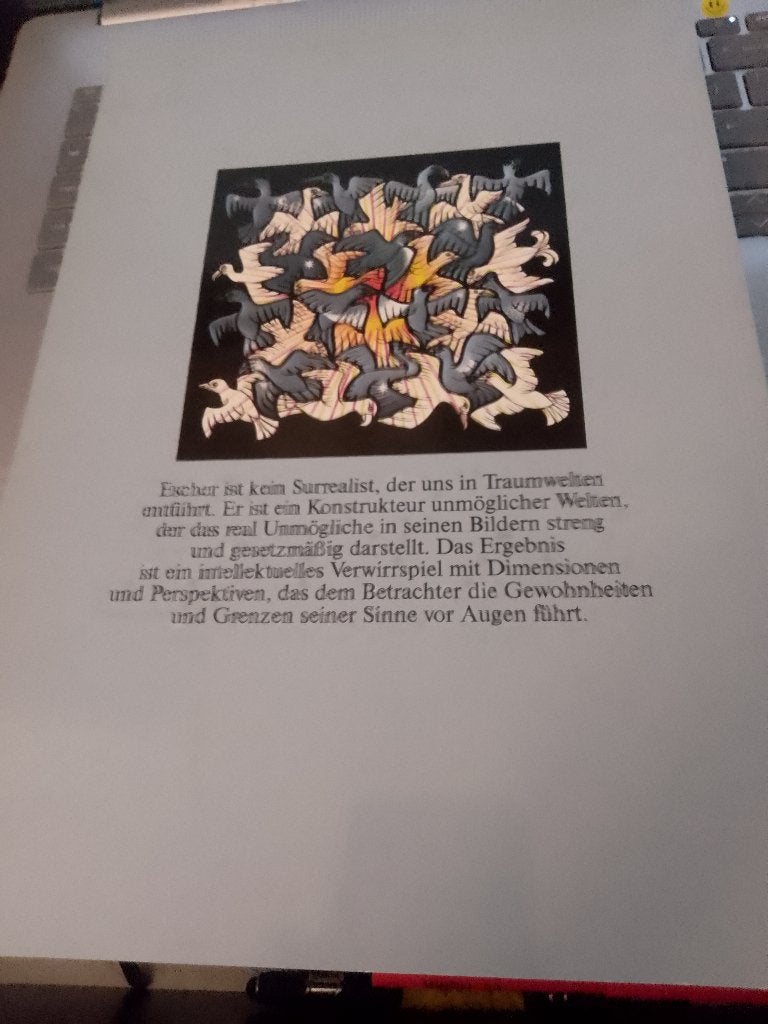 boek 1 x       escher   der zauberspiegel  + caravaggio, Ophalen, Gelezen