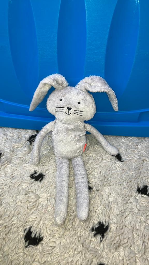 Hema grijs lichtgrijs konijn, Kinderen en Baby's, Speelgoed | Knuffels en Pluche, Hema, Gebruikt, Grijs, Konijn