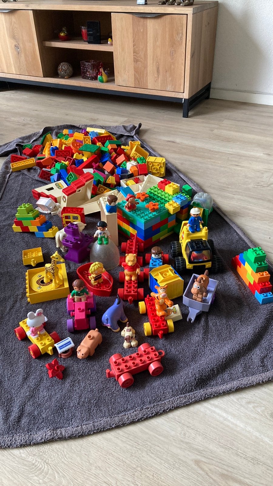Duplo bouwstenen, Ophalen, Gebruikt