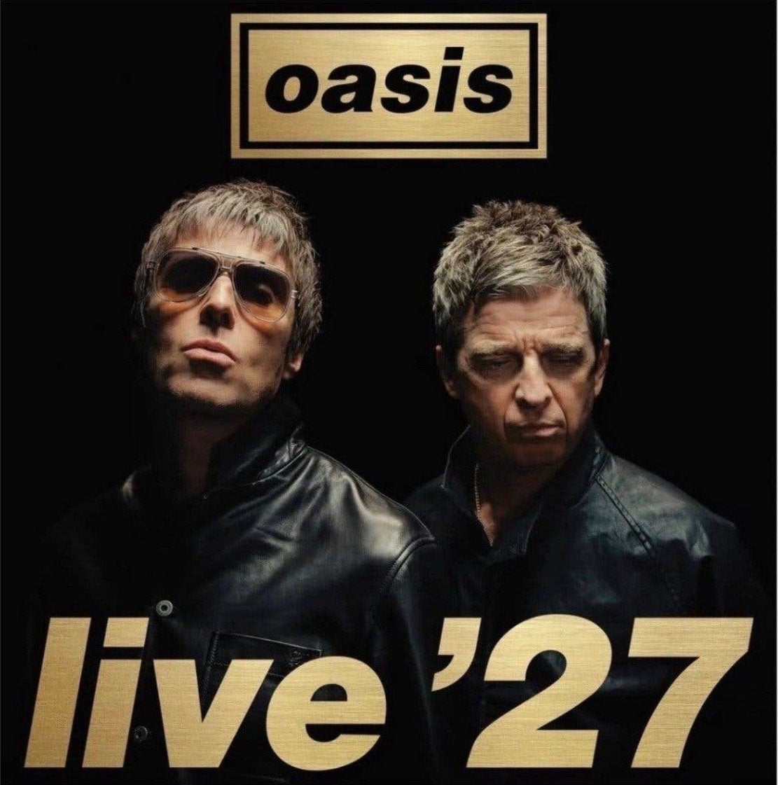 Oasis Live '27 Johan Cruijf Arena 17 juli 1e rang zitplaats, Eén persoon, Juli