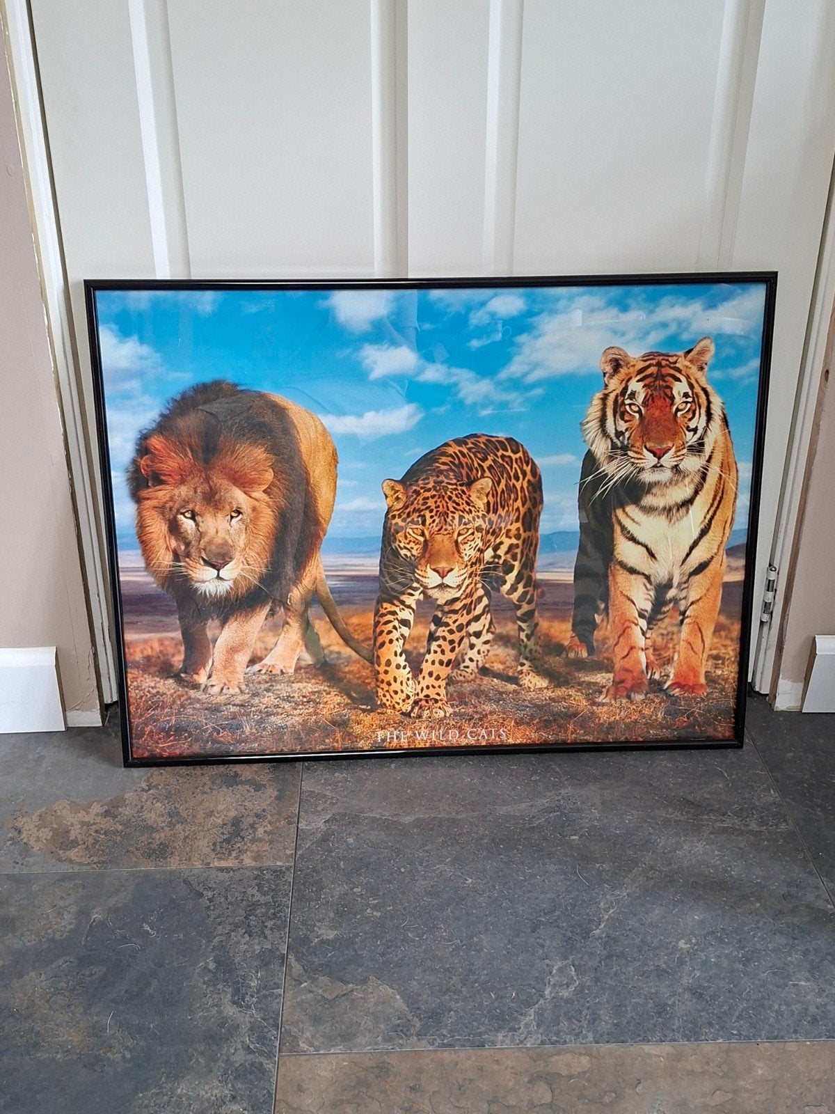 Wissellijst met maxi poster (leeuw, jaguar, tijger), Ophalen, Gebruikt, 75 tot 100 cm, Foto of Poster