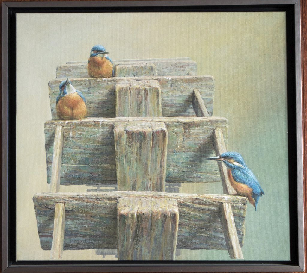 Gicleé: Ijsvogels op waterrrad | Erik van Ommen, Ophalen, Ingelijst, Dieren