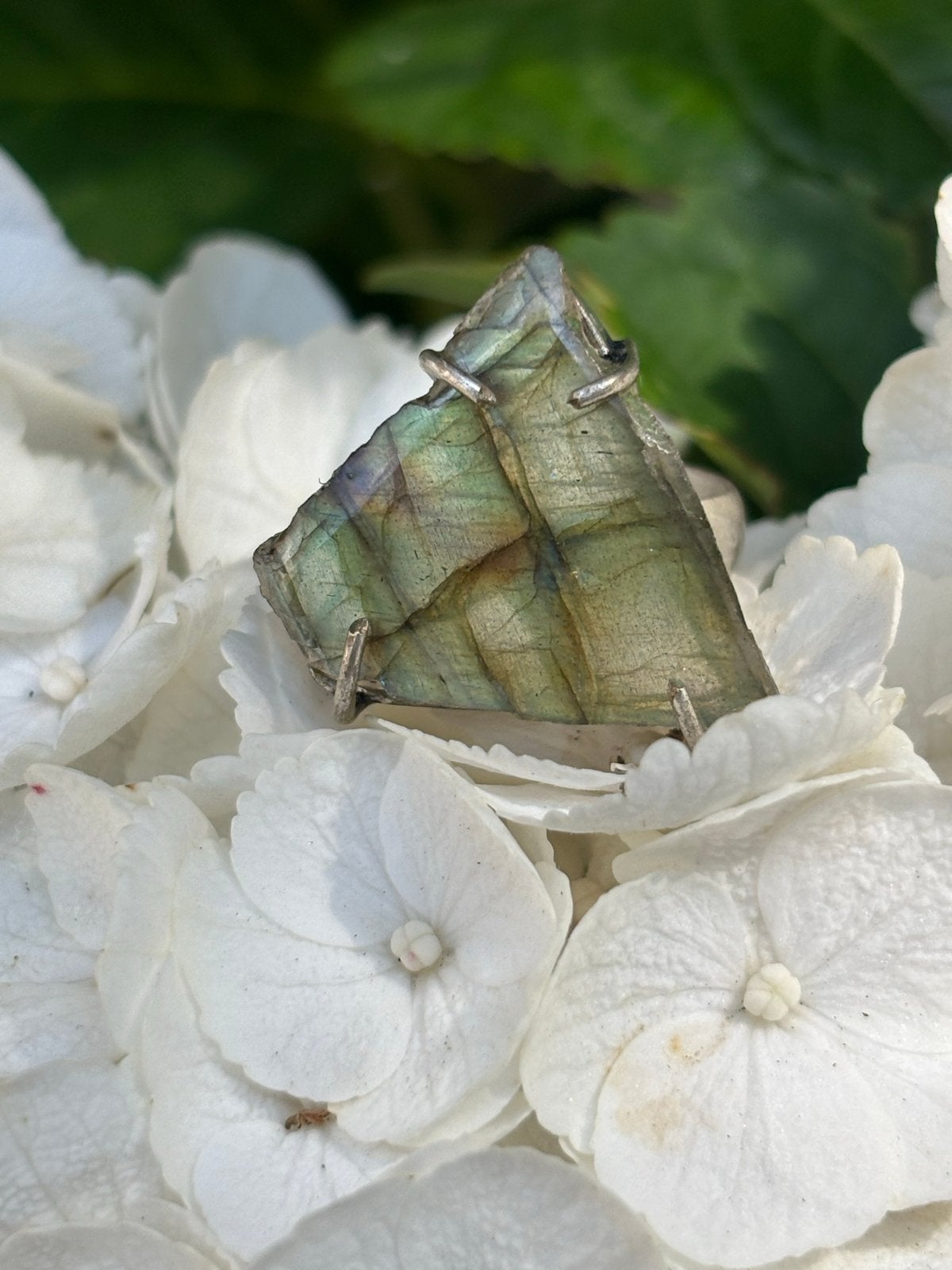 Labradoriet ring maat 16, Sieraden, Tassen en Uiterlijk, Ringen, Overige kleuren, Nieuw, Ophalen of Verzenden, Kleiner dan 17